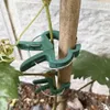 Gardlov 22586 Pflanzenklammern, 108 Stück Produktbild-Vorschau 5