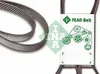 INA Keilrippenriemen 1133mm für AUDI A6 Avant (4F5, C6) FB Produktbild-Vorschau 1