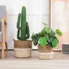 Pflanzkorb LINI 2er Set aus Seegras braun/natur - Übertopf, Produktbild-Vorschau 2