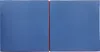 Grevinga® Klappbare Turnmatte (RG 35) | 200 x 100 x 6 cm | Produktbild-Vorschau 4