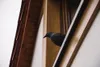 A bird is perched on wooden beams of a building. Náhľad obrázku produktu