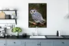 MuchoWow® Gerahmtes Poster Eule - Vogel - Äste - Natur Produktbild-Vorschau 3