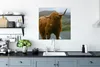 MuchoWow® Poster Schottischer Highlander - Berg - Straße Produktbild-Vorschau 3