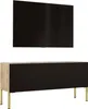 TV-SCHRANK in Wotan-Eiche / Mattschwarz mit Beinen in Gold, Produktbild-Vorschau 1
