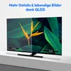 A split screen comparison of a TV displaying an image, showing the difference between 'Standard' and 'QLED' display modes. Produktbild-Vorschau