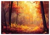 Selbstklebende Fototapete Ein sonniger Herbstwald in Produktbild-Vorschau 5