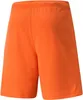 Puma Teamrise Shorts Herren - Orange Produktbild-Vorschau 2