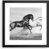 Gerahmtes Poster - Schwarzer Rahmen - Pferde Tiere Galopp Produktbild-Vorschau 1
