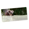 itenga 40x Buchetiketten Koala 9x4,5cm Namensetiketten Produktbild-Vorschau 1