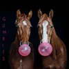 Gumbits pamlsky, balení: 340 g Náhled obrázku produktu 3