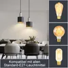 A collage showing two pendant lights in a dining room setting and three different types of light bulbs. Produktbild-Vorschau