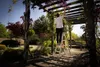 A person is using a ladder to tend to plants under a pergola. Anteprima dell’immagine prodotto