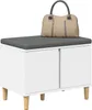 vidaXL Flurbank, wit, 60 x 38 x 46 cm, materiaal: houtvezel Productafbeelding-voorbeeld 3
