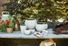 A collection of planters and gardening supplies arranged on a wooden table, with lush greenery in the background. Produktbild-Vorschau
