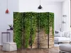 A room divider with an ivy wall print is set up in a living room, next to a white sofa and a floor lamp. Náhľad obrázku produktu