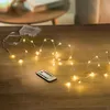 Frank Flechtwaren LED-Leuchtdraht 221392 mit 40 warmweiß Produktbild-Vorschau 8