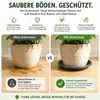 Pflanztopfuntersetzer Mira Anthrazit Ø 68cm - Frostsicher & Produktbild-Vorschau 6