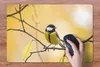 MuchoWow® Schreibtischunterlage Kohlmeise - Zweig - Vogel - Produktbild-Vorschau 3