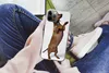 MuchoWow® Handyhülle Schutzhülle Hülle für iPhone 13 Pro Produktbild-Vorschau 3