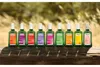Weleda - Aceite de masaje con árnica, 200 ml Vista previa de la imagen del producto 26