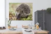 MuchoWow® Poster Igel im Gras 160x120 cm - Foto Plakat Produktbild-Vorschau 3
