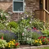 Support pour plantes grimpantes Relaxdays, lot de 2, H x L Voir les images du produit 3