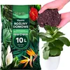 Blumenerde Premium - 10L - für Zimmerpflanzen - Hochwertige Produktbild-Vorschau 1