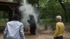Cocaine Bear Produktbild-Vorschau 5