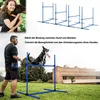 Sessamen-LP Agility Hürdenset Slalom Stangen Sprungstangen Produktbild-Vorschau 5