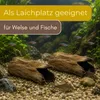 Aquarium Deko Höhle Baumstamm Einseitig Geschlossen Produktbild-Vorschau 6