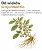 Wysoko skoncentrowane kapsułki Ashwagandha KSM-66 - 600 mg Podgląd zdjęcia produktu 5