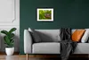 MuchoWow® MuchoWow® Gerahmtes Poster Eule - Baby - Baum Produktbild-Vorschau 8