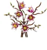 Äste mit Magonolien Blüten Produktbild-Vorschau 37
