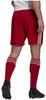 ADIDAS Squadra 21 Shorts Herren rot S Produktbild-Vorschau 11
