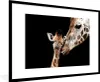 MuchoWow® Gerahmtes Poster Giraffe - Tiere - Schwarz - Produktbild-Vorschau 1