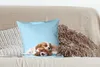 MuchoWow® Zierkissen Sofakissen Wohnzimmer Dekokissen 45x45 Produktbild-Vorschau 4