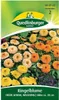 Ringelblume, Fiesta Gitana Mischung Produktbild-Vorschau 6