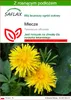 SAFLAX - Mlecze - 200 Nasiona - Z podłożem uprawowym wolnym Podgląd zdjęcia produktu 1