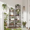Two ladder shelves filled with plants and decorative items on a porch. Podgląd zdjęcia produktu