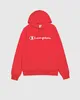 Champion Hooded Sweatshirt : XL Größe: XL Produktbild-Vorschau 5