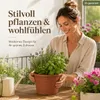 Pflanztopf Fiona Terrakotta Ø 25cm - Frostsicher & Produktbild-Vorschau 4