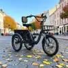 E Bike Dreirad Fat Klapprad E-Bike Lastenfahrrad Produktbild-Vorschau 7