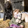 My Hobby Horse - Zaumzeug für Steckenpferde - schwarz mit Produktbild-Vorschau 8