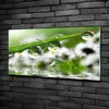 Tulup® Glas-Bild - 100x50 -Wandkunst - Wandbild hinter Produktbild-Vorschau 2