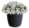 Prosperplast Pflanztopf/Blumentopf - Kunststoff - D22 x Produktbild-Vorschau 2