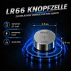 50 X Wilhelm AG4 LR66 - L 626 - 177 - 377 - GP77A Produktbild-Vorschau 4