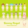 Sonny Angel Box Animal Series 1 Produktbild-Vorschau 5