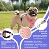 Reichstadt  RS Pets Hundegeschirr & Leinen Set 25RSP083-4 Produktbild-Vorschau 3
