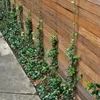 Vines growing along a wooden fence next to a concrete path. Produktbild-Vorschau