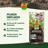 COMPO BIO Universal-Erde torffrei 7,5 l 4008398112240 214023 11224 blumenerde pflanzerde Produktbild-Vorschau